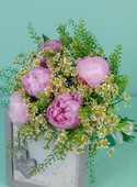 Bouquet of peonies with tanacetum