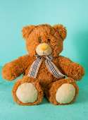 Teddy bear, 20 cm