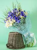 Букет цветов из 51 бело-синего ириса