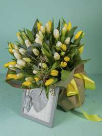 Bouquet of 49 white and yellow tulips
