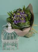 Bouquet of 9 hyacinths