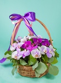 Basket of flowers "Sea of orchids"