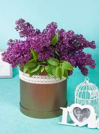 A large hatbox of lilac