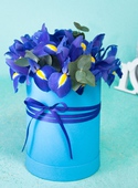 Hatbox of 11 irises
