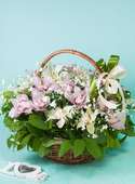 Basket of 21 orchid with greenery