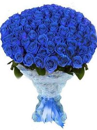 Bouquet of 101 blu roses