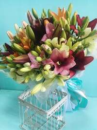 Bouquet of 21 Lilly