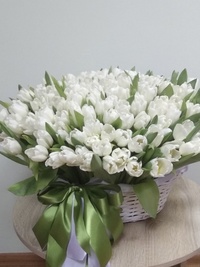 Basket of 251 white tulips