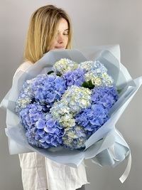 Bouquet of 15 blue hydrangeas
