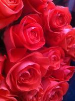 Поделитесь впечатлением Букет роз с доставкой по Киеву