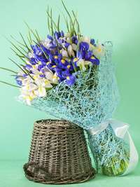 Букет цветов из 51 бело-синего ириса