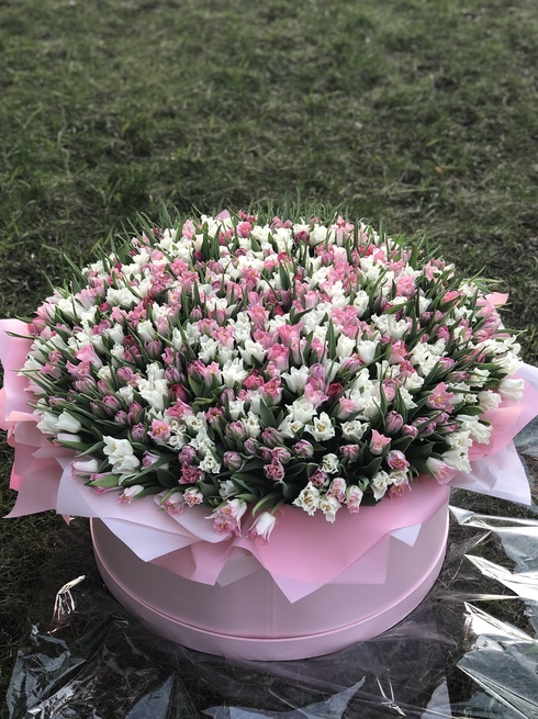 Коробка из 501 тюльпана
