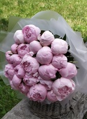 фото 25 розовых пионов