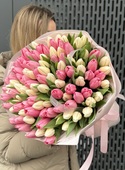 фото Букет из 101 розового и белого тюльпана