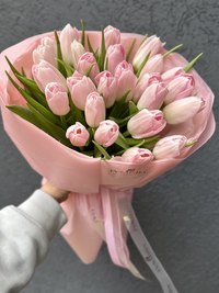 A bouquet of delicate tulips