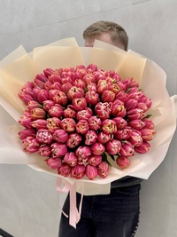 101 тюльпан сорта Колумбус