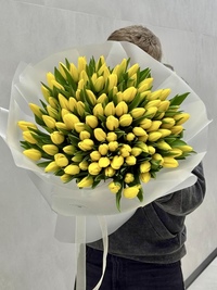 101 солнечный тюльпан