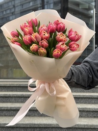 25 тюльпанов сорта Колумбус