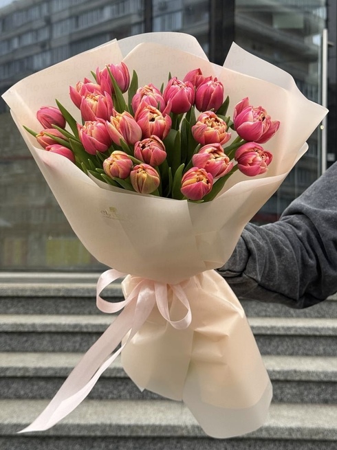 25 тюльпанов сорта Колумбус