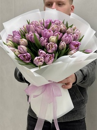 51 лиловый тюльпан