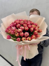 51 тюльпан сорта Колумбус