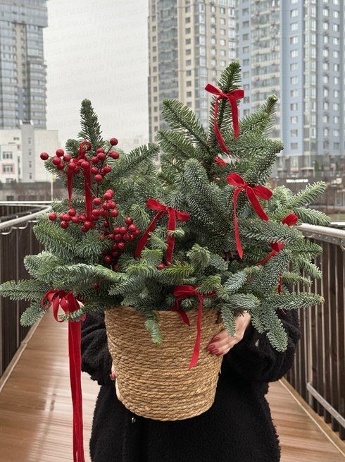 Christmas arrangement in a wicker flowerpot size M